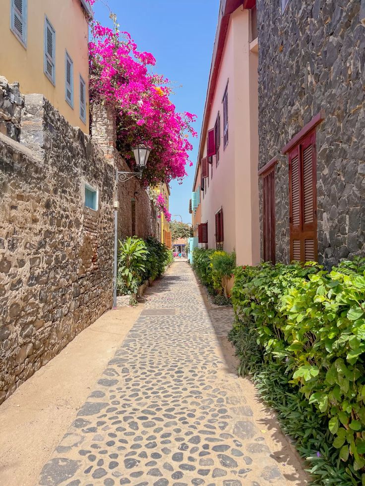 Excursion à Gorée